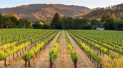 Alila Napa Valley - Napa Hotels - St. Helena, United States - Forbes Travel Guide