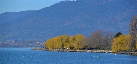 Lake Neuchâtel - World Water Database