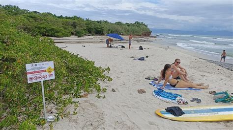 Holidaymaker attacked by crocodile on beach as deadly reptile bites man - World News - Mirror Online