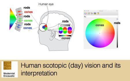 human scotopic vision | Physics