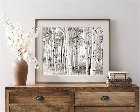 Aspen Photography Black and White Aspen Trees Photo Aspen - Etsy