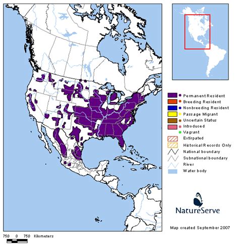 Americas Range Map - Wild Turkey | BirdPhotos.com