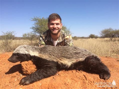 Honey Badger Pictures | AfricaHunting.com