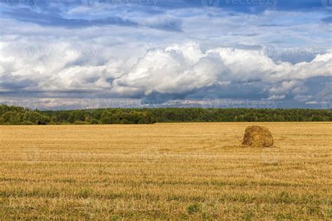 an agricultural field 9412664 Stock Photo at Vecteezy