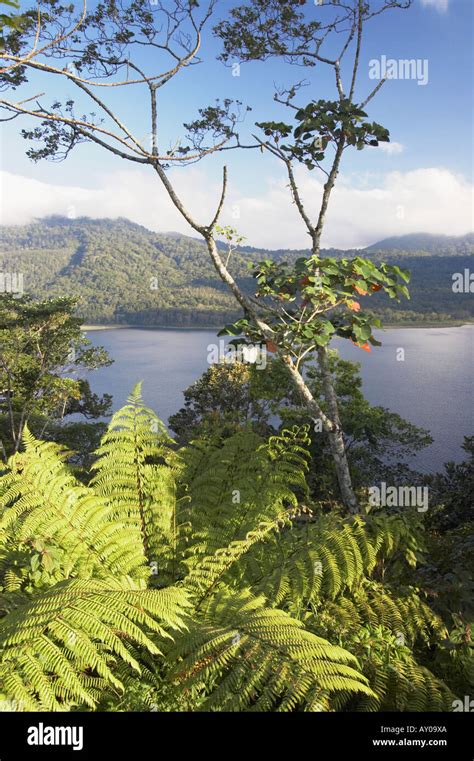 Danau Buyan, Bali Stock Photo - Alamy