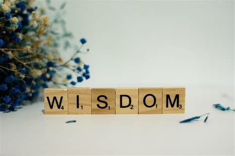 Pursuing Wisdom—An Introduction to Proverbs - Olive Tree Blog