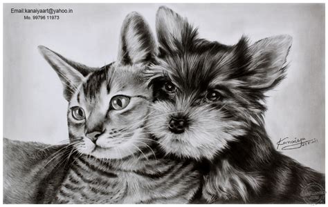 Charcoal Drawing of Cat and Dog - Desi Painters