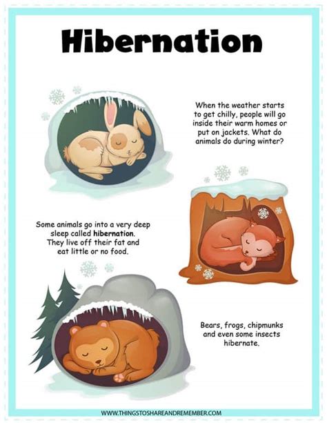 Hibernating Animals Activities Printables » Share & Remember | Celebrating Child & Home