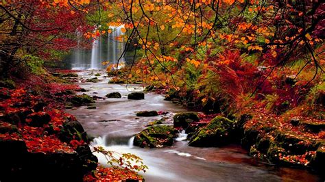 HD Autumn Trees Nature Landscape Leaf Leaves Desktop Background Images Wallpaper | Scenery ...