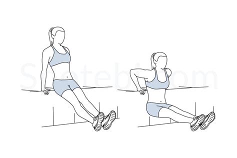 Tricep Dips | Illustrated Exercise Guide