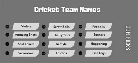 499+ Cricket Team Names For Cricket Tournaments - Good Name