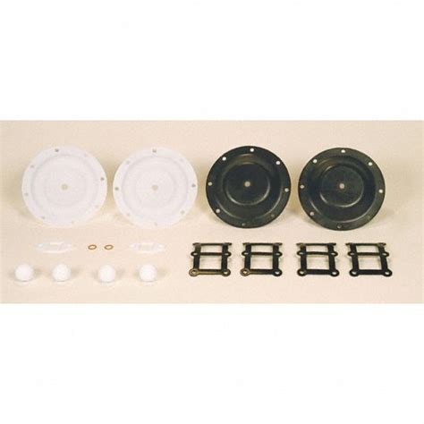 SANDPIPER Diaphragm Pump Repair Kit, Includes 2 Diaphragms, 4 Check Valves, Seals and O-Rings ...