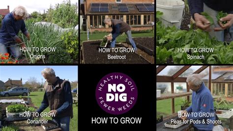 Introduction to Charles Dowding videos, easier ways to grow great veg - YouTube