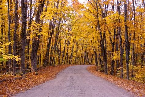 Algonquin Provincial Park, Canada in Autumn