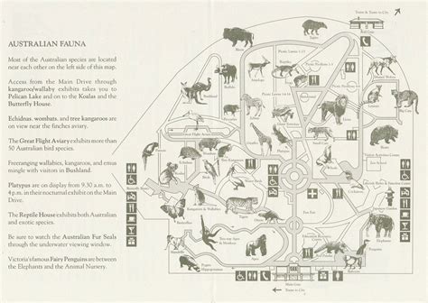 Melbourne Zoo map 1993 - ZooChat