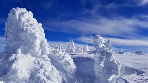 West Yellowstone, Montana - Snowtracks