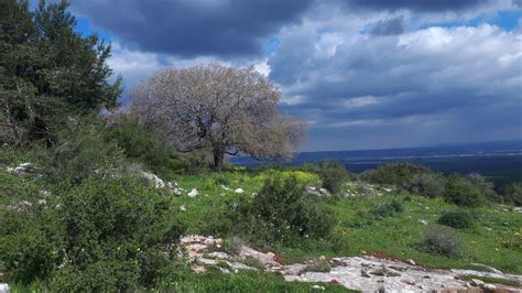 UNESCO-recognized hiking trail opens in northern Israel - ISRAEL21c