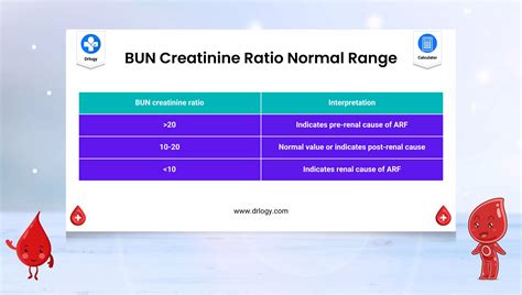 BUN Creatinine Ratio Calculator | Blood Urea Nitrogen - Drlogy