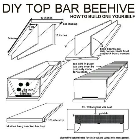 How To Build Your Own DIY Top Bar Beehive | RemoveandReplace.com