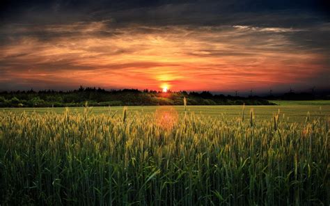 Farm Sunset Wallpapers - Top Free Farm Sunset Backgrounds - WallpaperAccess