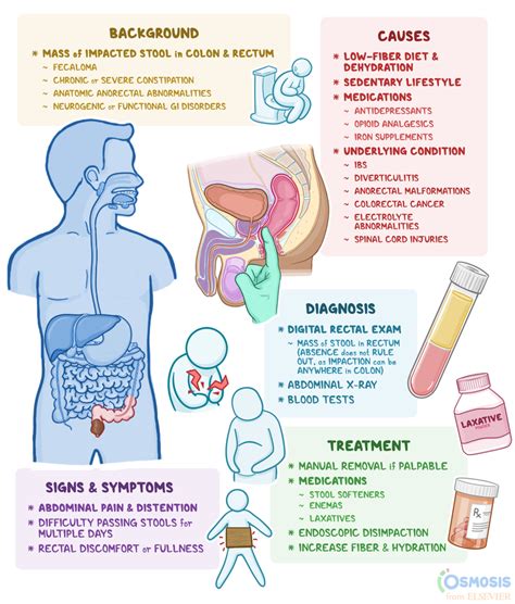 Do Stool Softeners Cause Dehydration? - PostureInfoHub