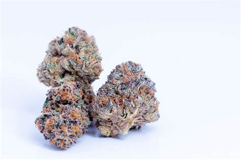 Slurricane Strain Review: Effects, Growing Tips & More