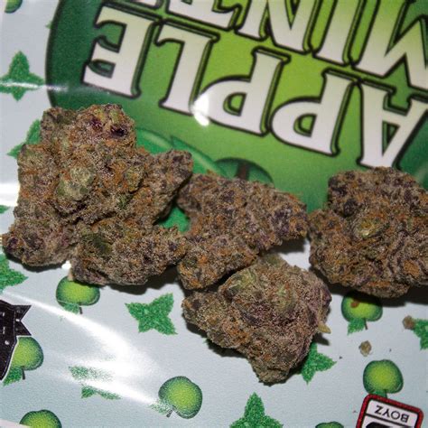 Strain Review: Apple Mintz by Backpack Boyz - The Highest Critic