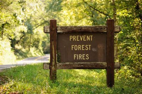 Forest Fire Prevention Pictures Stock Photos, Pictures & Royalty-Free ...