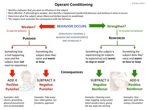 Growingbrain.org | Operant conditioning, Learning psychology, Learning theory