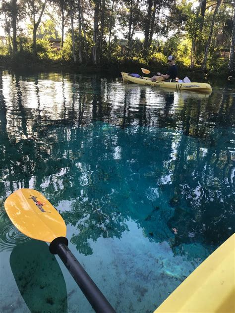 Making Restorations: Manatee Kayaking in Crystal River Florida