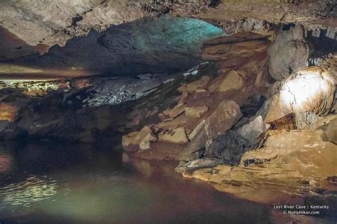 A River Runs Through It; Visiting Lost River Cave in Kentucky