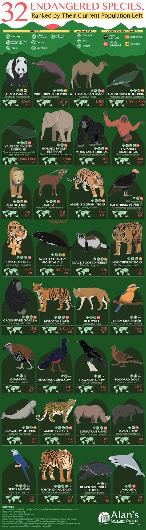 Infographic on 32 Endangered Species Ranked by Their Current Population ...