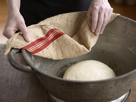 What Is Yeast and How Is It Used in Baking?