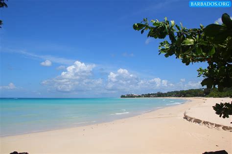 A lovely day at tranquil Brandons Beach on the west coast of Barbados ...