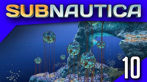 Subnautica #10 : Secrets du Grand Reef ! - YouTube