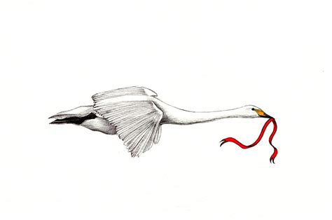 Flying Swan Art Print of an Original Drawing Available - Etsy