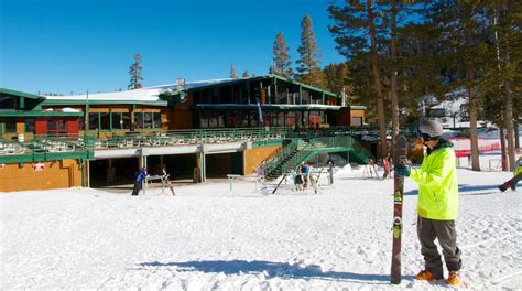 Alpine Meadows Ski Resort Tours - Book Now | Expedia