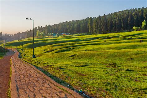 Yusmarg: Why stay here on a trip to Kashmir · sandeepachetan.com