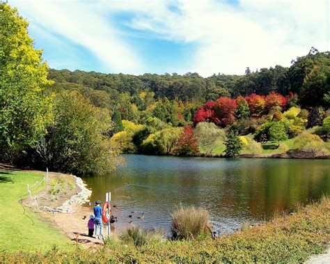 Mt Lofty Botanical Gardens | Walking SA