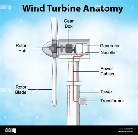 Wind turbine anatomy diagram illustration Stock Vector Image & Art - Alamy