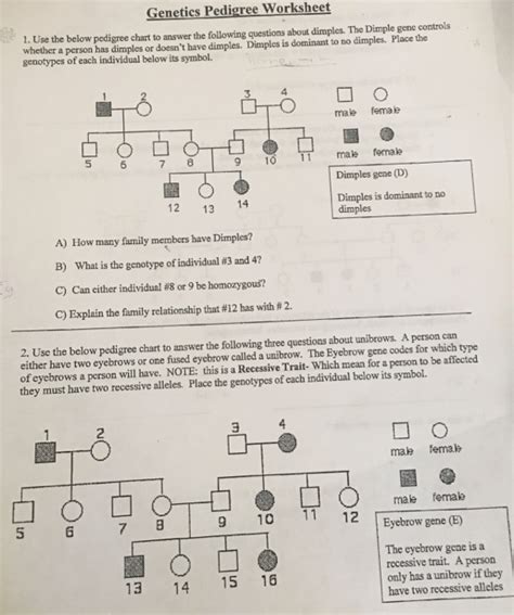 ️Genetics Pedigree Chart Worksheet Free Download| Goodimg.co