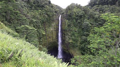 Hawaii Island, Akaka Falls HAWAII 4247441 Stock Video at Vecteezy