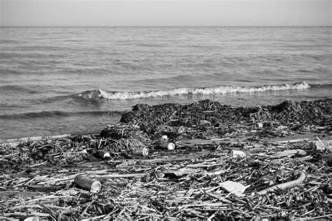 Beach and Sea Pollution in Black and White Stock Photo - Image of ...