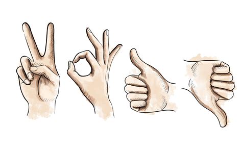 vector gestures by hands | People Illustrations ~ Creative Market