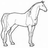 Lovely mare coloring Pages  Hellokidscom sketch template