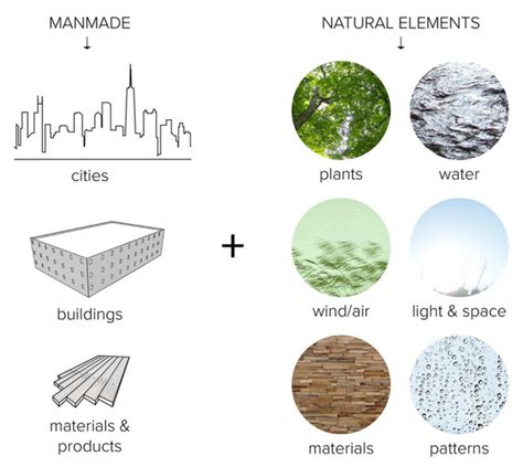 ēdn Garden - Biophilic Design: What it is and why it matters Closer To ...