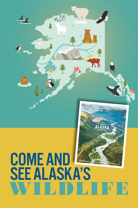 Whale watching and bear viewing in Alaska | Alaska wildlife, Alaska travel, Alaska map