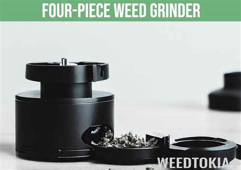 Types of Weed Grinders Explained: What's Right For You? - Weedtokia.com