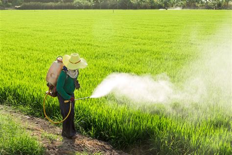 Study on exposure to pesticides among the Irish adult population - Hospital Professional News