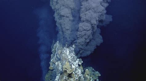 New Studies Highlight Complexity of Deep Sea Ecosystems – DSM Observer